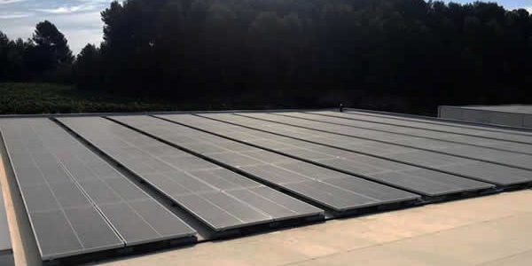 instalacion-autoconsumo-bodegas-pinord-catalunya-edf-solar-destacado