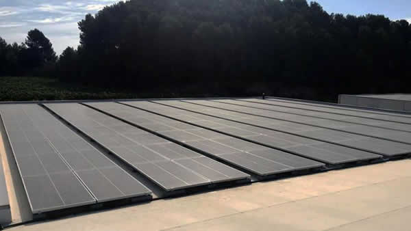 instalacion-autoconsumo-bodegas-pinord-catalunya-edf-solar-destacado